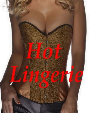 Cover of the book Hot Lingerie by BDP