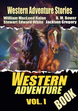 Cover of the book THE WESTERN ADVENTURE BOOK VOL. I by GRACE LIVINGSTON HILL, WILLIAM MACLEOD RAINE, ZANE GREY, JACKSON GREGORY, JAMES B. HENDRYX, BOOTH TARKINGTON