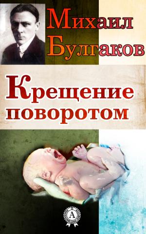 Cover of the book Крещение поворотом by Николай Брусилов