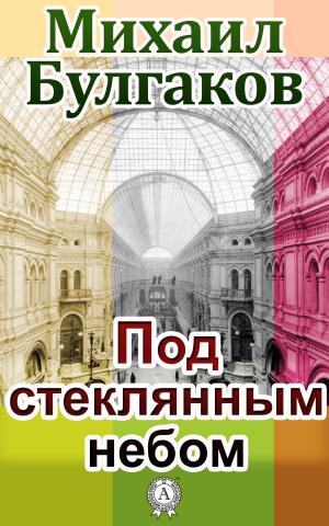 Cover of the book Под стеклянным небом by Виссарион Белинский