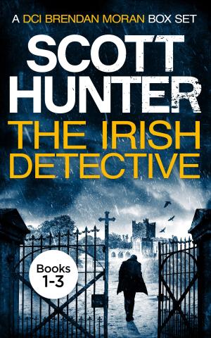 Cover of the book The Irish Detective by J.J. Diamanti