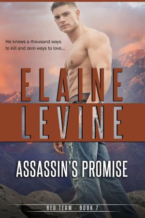 Book cover of Assassin's Promise