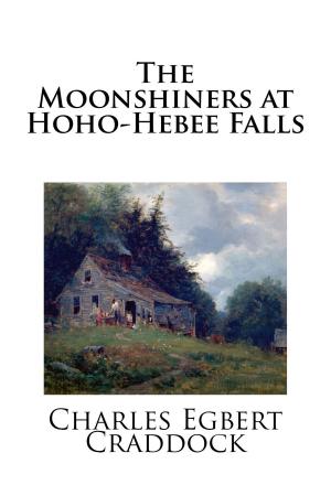 bigCover of the book The Moonshiners at Hoho-Hebee Falls by 