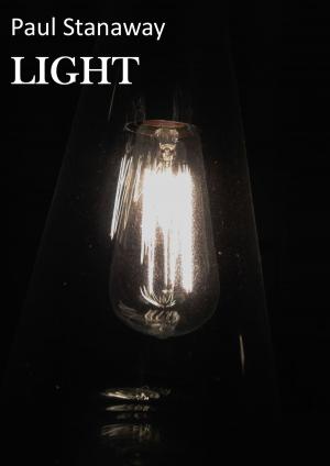 Cover of the book LIGHT by Kate Lowe