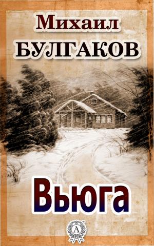 Cover of the book Вьюга by Эмилио Сальгари