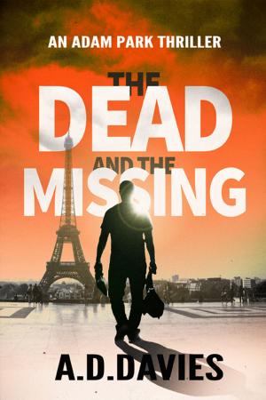 Cover of the book The Dead and the Missing by Cay Reet
