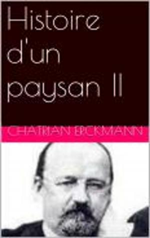 Cover of the book Histoire d'un paysan II by Alphonse Daudet