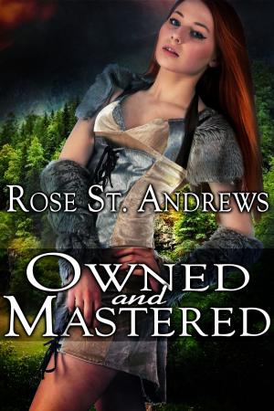 Cover of the book Owned and Mastered by Samantha Madisen
