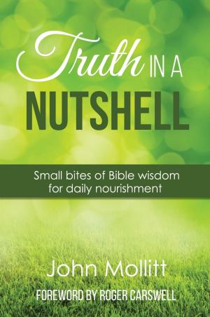 Cover of the book Truth in a Nutshell by Nancy L Watrud