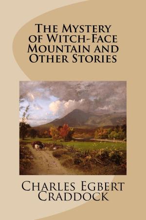 Cover of the book The Mystery of Witch-Face Mountain and Other Stories by Ferdinand Praeger