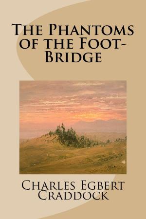 bigCover of the book The Phantoms of the Foot-Bridge by 