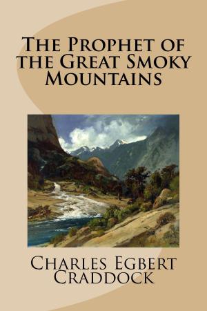 Cover of the book The Prophet of the Great Smoky Mountains by Irvin S. Cobb