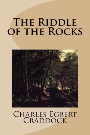 Cover of the book The Riddle of the Rocks by Sir Walter Scott