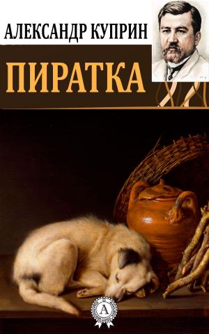 Cover of the book Пиратка by Виссарион Белинский