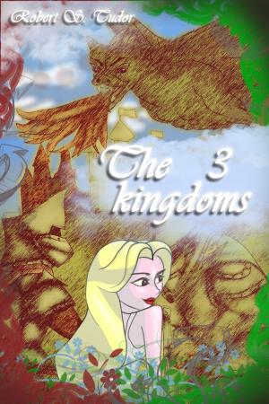 bigCover of the book The 3 kingdoms by 