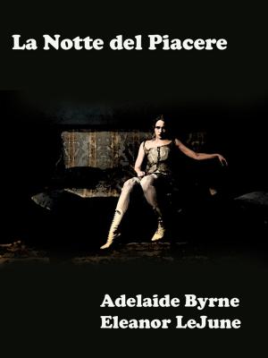 Cover of the book La Notte del Piacere by Gaby Crumb