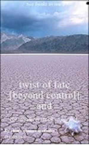 Cover of the book TWIST OF FATE by Lydia Mirabella Obrien