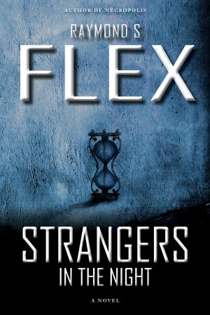Cover of the book Strangers In The Night by Raymond S Flex