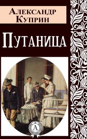 Cover of the book Путаница by Валерий Брюсов