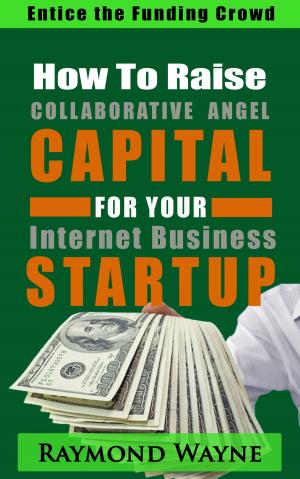 Cover of How To Raise Collaborative Angel CAPITAL For Internet Business Startup