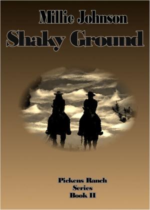 Cover of the book Shaky Ground by 趙旭