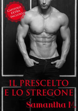 Book cover of Il Prescelto e Lo Stregone