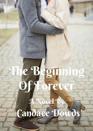 Cover of The Beginning Of Forever