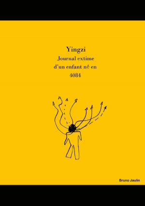 Cover of the book Le Journal de Yingzi by Giulio Piccini