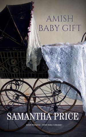 Book cover of Amish Romance: Amish Baby Gift