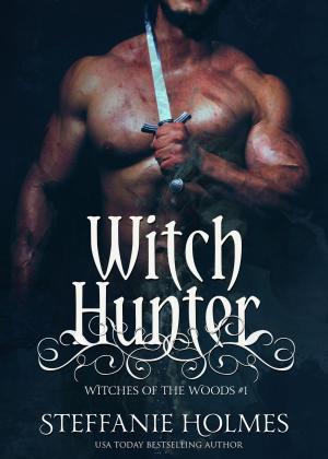 Cover of the book Witch Hunter by Vera E. Renaud