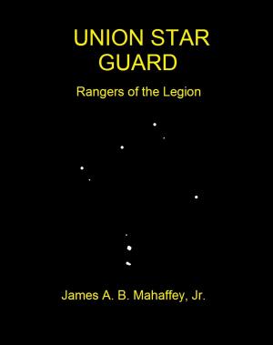 Book cover of Union Star Guard
