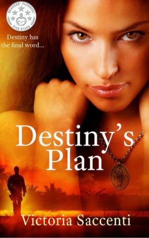 Cover of the book Destiny's Plan by Karen McDonald