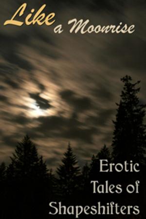 Cover of the book Like a Moonrise by Circlet Press Editorial Team