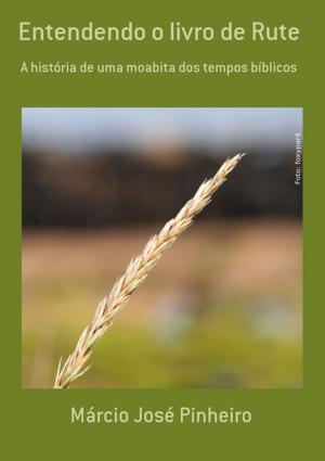 Cover of the book Entendendo O Livro De Rute by Neiriberto Silva De Freitas
