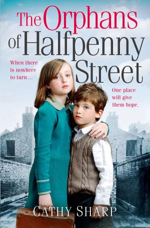 Cover of the book The Orphans of Halfpenny Street (Halfpenny Orphans, Book 1) by Adrienne Chinn