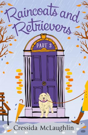 Cover of the book Raincoats and Retrievers (A novella): A happy, yappy love story (Primrose Terrace Series, Book 3) by Maggie Conway