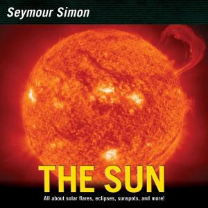 Cover of the book The Sun by André Hoffmann