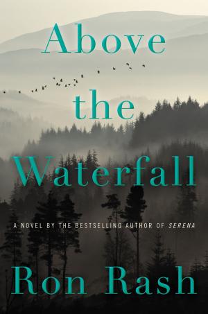 Cover of the book Above the Waterfall by Annie Dillard