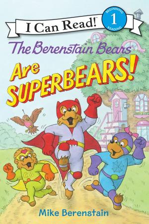 Cover of the book The Berenstain Bears Are SuperBears! by Elise Primavera