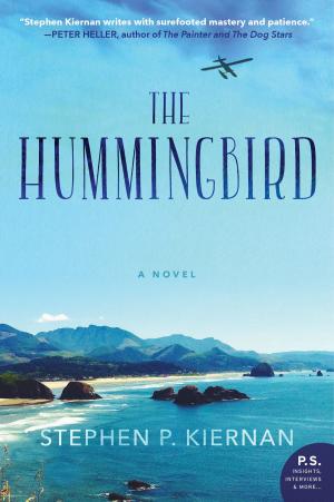 Cover of the book The Hummingbird by Frank Mundo