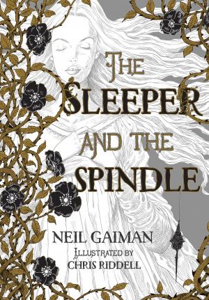 Book cover of The Sleeper and the Spindle