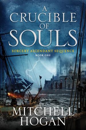 Cover of the book A Crucible of Souls by Traci Harding