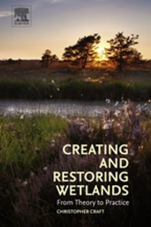 Cover of the book Creating and Restoring Wetlands by Roy A. Parisher