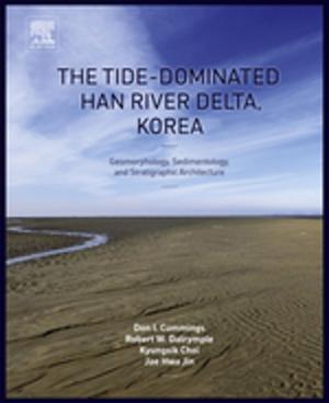 Cover of the book The Tide-Dominated Han River Delta, Korea by Bernard Lewis, Guenther von Elbe