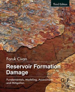 Cover of the book Reservoir Formation Damage by Samantha Jenkins, Steven R. Kirk, Jean Maruani, Erkki J. Brandas