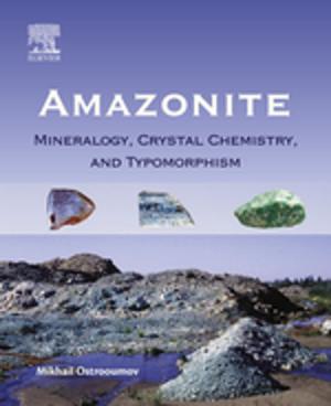 Cover of the book Amazonite by Jeffrey Louis Goldberg, Ephraim F. Trakhtenberg
