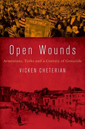 Cover of the book Open Wounds by Bruce A. Arrigo, Heather Y. Bersot, Brian G. Sellers