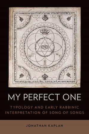 Cover of the book My Perfect One by Amy E. West, Sally M. Weinstein, Mani N. Pavuluri