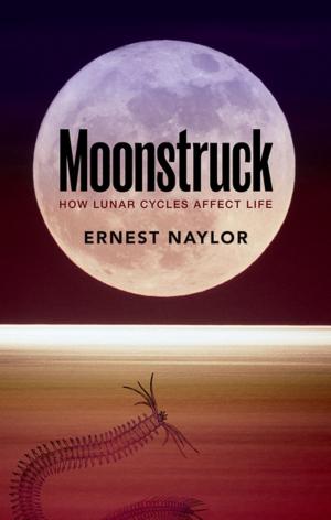 Cover of the book Moonstruck by Stephen J. Blundell