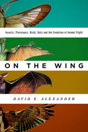 Cover of the book On the Wing by Simon Chesterman, David M. Malone, Santiago Villalpando